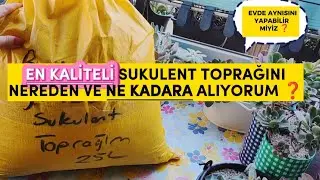 Ne Kadara ? Nereden Alıyorum ?   Kaliteli Sukulent Toprağım - Evde Kendimiz Nasıl Hazırlarız ?