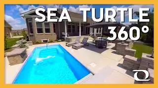 Sea Turtle 360&deg; Video | Thursday Pools