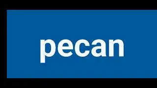 How To Pronounce pecan | Pronunciation Of pecan | Pronounce pecan | How To Say pecan