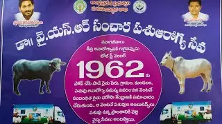 1962Animal Emergency Ambulance #AP Animal's Husbandry #24bells