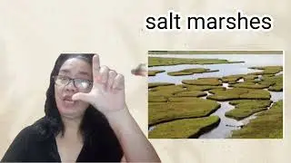 Biotic Factors in an Intertidal and Estuarine Ecosystem