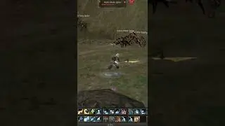 pal lobby Daichi #funny #gameplay #lineage #mmo