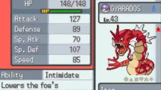 Pokemon Heart Gold : My Team before taking on Elite Four