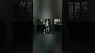 Morre o ator Michael Gambon que interpretou Alvo Dumbledore
