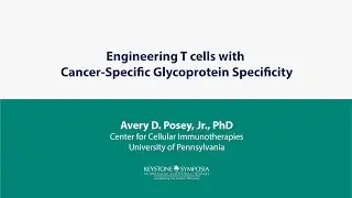 SciTalks: Engineering T cells with  Cancer-Specific Glycoprotein Specificity