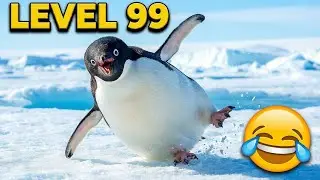 Is this Penguin Depressed?🐧The Nihilist Penguin Secret (TRY NOT TO LAUGH😄)
