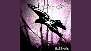 The Shallow Glass