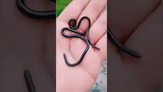 Blind Snakes की अनोखी दुनियां