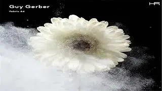 fabric 64 - Guy Gerber (2012) [Continuous Mix]
