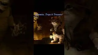 Cat&rsquo;s Ultimate Treasure Discovery in the Pyramid Adventure!