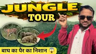 A tour in dangerous jungle 😱 #jungle #tiger #elephant 