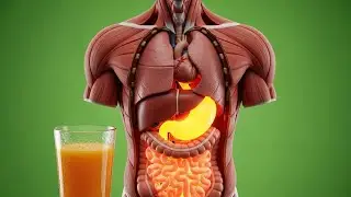 The Science of Mango: How Your Body Processes It | Cinematic 3D Anatomy Video  #video #mango 