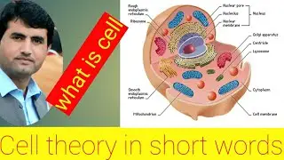 Definition of cell and cell theory