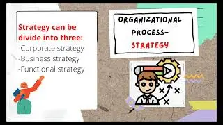 Organizational Processes