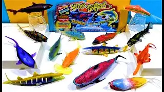 🦈 SUPER SHARK &co 🦈*NUEVA COLECCION DE TIBURONES* Blanditos