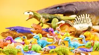 Dinosaurs Bone /Jurassic World Dinosaur Learn Toys