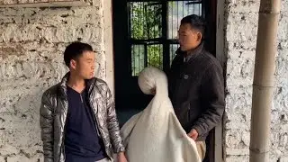 小勇跟炮哥说现在打光棍破产了，炮哥听后半信半疑的，到底咋回事 #一段真实的历史故事 #我的乡村生活一般人不知道是什么 #谁能看出这有什么门道 #打光棍 #打光棍不如有老婆