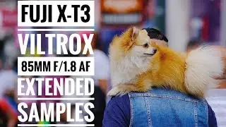 Fuji X Viltrox 85mm f/1.8 STM AF EXTENDED SAMPLES