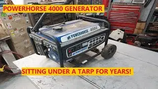 Power Horse 4000 Generator | Sitting Under A Tarp For Years!