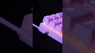 T-Dagger | Teclado Arena