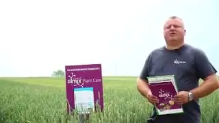AgrOptim // Olmix // Przegląd odmian pszenicy #5 // MIFARM 2020