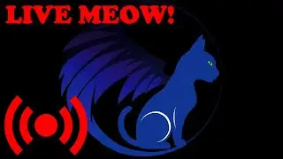 🚀🐾Space Cat🚀🐾Topsy-turvy Tuesday with Space Cat :3
