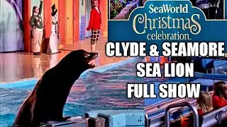SEA WORLD SAN ANTONIO TEXAS CHRISTMAS CELEBRATION & SEA LION LIVE FULL SHOW