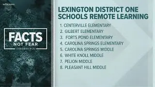 Lexington One now has 8 schools in remote learning