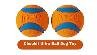 Chuckit! Product Review -The Best Dog Toys | The Able