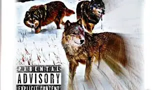 Kto Sco - Wolves ft.BN Noodlez & KJRomani [Official Audio]