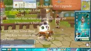 What to do have Pet Loot Filter : Fly For Hero