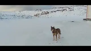 Итуруп
