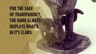 For the Sake of Transparency, The Hawk Always Displays What's in Its Claws