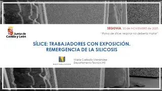 Sílice: trabajadores con exposición. Remergencia de la silicosis - Mª Carballo. Técnica del INS