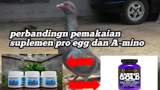 ДОБАВКИ ДЛЯ ПОВЫШЕНИЯ ЭНЕРГИИ DOVE KOLONG PRO EGG VS A-MINO, ????