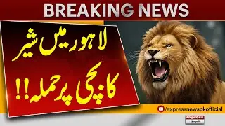 Lion Attacks Child in Lahore | Authorities Launch Investigation | Pakistan News
