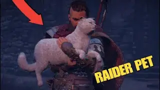 How to get a PET CAT for your Longship - Assassin's Creed Valhalla