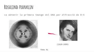 La foto 51