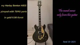 I PIMPED MY HARLEY BENTON HB35 PLUS WITH GOLDEN TEMU PARTS, NOT BAD AND CHEAP !