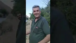 avaspi