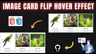 Day 24 - Image Card Fliping Effect | Using HTML & CSS Free Source Code |