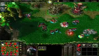 One For All  Controlled All Four Races l Warcraft 3 l Frozen Throne