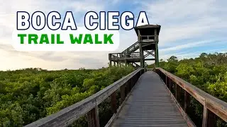 28 Minute | Virtual Walking Video For Treadmill | Gorgeous Trail Walk Boca Ciega Park