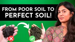 8 EASY Steps to Improve Your Garden Soil Quality