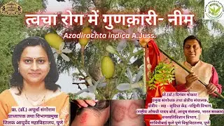 Tree Useful for Skin Diseases- Neem (Margosa Tree)