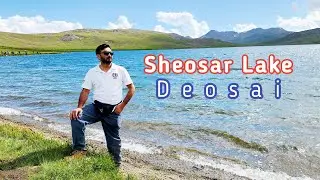 A Day in Paradise: Sheosar Lake Deosai | Skardu Tour Vlog # 18 | Observer Insight