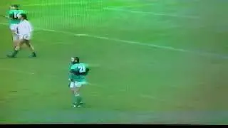 Erins Isle Dublin Senior Hurling Champions 1983, Dermot Lyons man of the match.