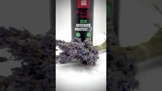 Eco Car Revolution #cardetailing #automobile #carcleaningproducts #car #luxurycarcare