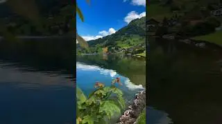 A Calm Escape in Under a Minute 🌊 | Relaxing Nature 4K #nature #shorts #pxscenery