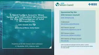 A Novel Surface Acoustic Wave Sensor with Embedded Microcavities for Size Differentiation of Solid